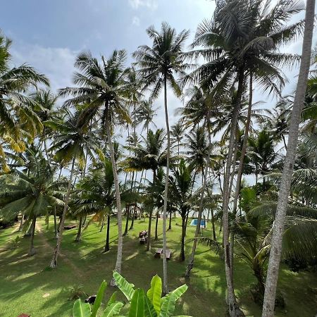 Galawatta Beach Resort Unawatuna Exteriér fotografie
